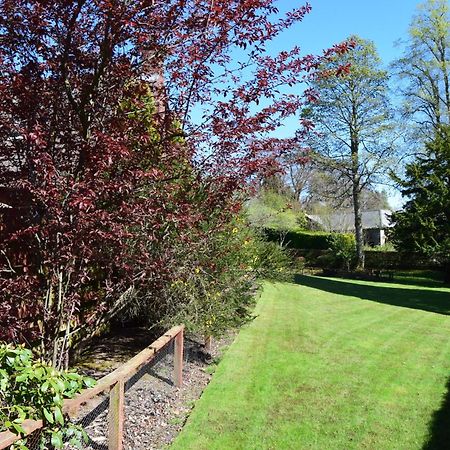 Auburn Cottage Arbroath Extérieur photo